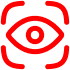 Vision
